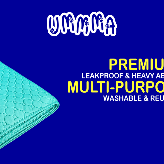 UMMMA Multipurpose Protection Pads, Teal – Extra Large (82" x 102")